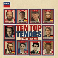 Různí interpreti – Ten Top Tenors
