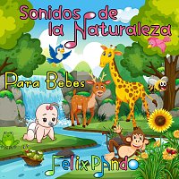 Felix Pando – Sonidos de la Naturaleza para Bebes