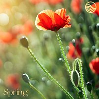 emeraldwave – Spring [Soundbath]