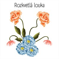 Rozkvetlá louka