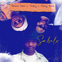 Rascoe Kaos, Tee Jay, Obeey Amor, ThackzinDj, Sir Trill, Nkosazana Daughter – Sabelo