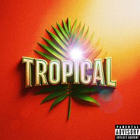Přední strana obalu CD TROPICAL