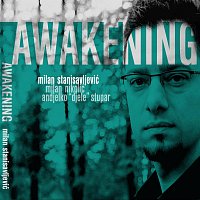 Milan Stanisavljević – Awakening