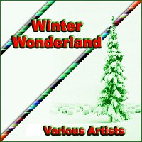 Různí interpreti – Winter Wonderland