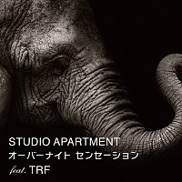 Studio Apartment, Trf – Overnight Sensation