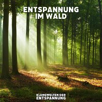 Přední strana obalu CD Entspannung im Wald
