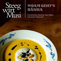 Steegwirt Musi – Woam geht's danha - Instrumental
