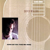 David Wilcox – How Did You Find Me Here