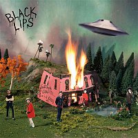 Black Lips – Can't Hold On