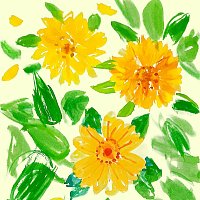 Onbee – Blooms in Spring
