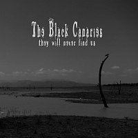 Přední strana obalu CD They Will Never Find Us