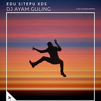 Přední strana obalu CD DJ Ayam Guling