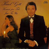 Karel Gott – Koncert pro tebe MP3