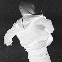 UHD – Zaune
