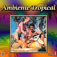 Různí interpreti – Colección De Oro: Ambiente Tropical, Vol. 1