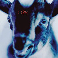 GASHI – 1134
