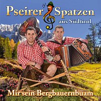 Přední strana obalu CD Mir sein Bergbauernbuam