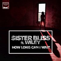 Sister Bliss, Wiley – How Long Can I Wait
