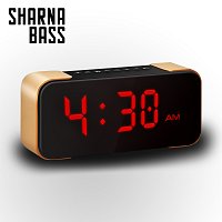 Sharna Bass – 4:30am