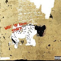 THEY. – What You Want