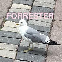 FORRESTER – Margarita / FUBU flexfit 1999