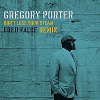 Gregory Porter – Don't Lose Your Steam [Fred Falke Remix]