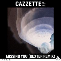 Missing You (feat. Parson James) [Dexter Remix]