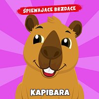 Přední strana obalu CD Kapibara