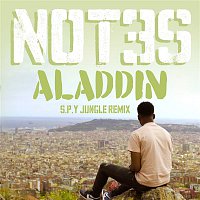 Not3s – Aladdin (S.P.Y Jungle Remix)