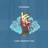Přední strana obalu CD I Just Wanted You