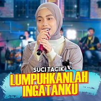 Suci Tacik – Lumpuhkan Ingatanku