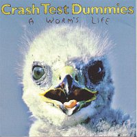 Crash Test Dummies – A Worm's Life