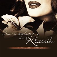 Various  Artists – Traummelodien der Klassik