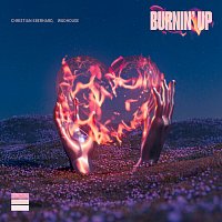 Christian Eberhard, Wudhouse – Burnin’ Up