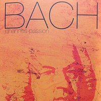 Johannes Passion, Vol. 1