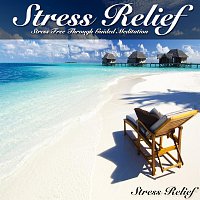 Stress Relief - Stress Free Through Guided Meditation