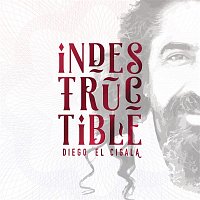 Diego El Cigala – Indestructible