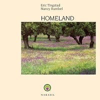 Eric Tingstad, Nancy Rumbel – Homeland