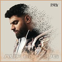Payy – Auf Entzug