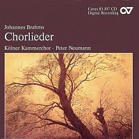Přední strana obalu CD Brahms: Chorlieder