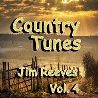 Přední strana obalu CD Country Tunes, Vol. 4