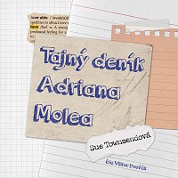 Viktor Dvořák – Townsendová: Tajný deník Adriana Molea MP3