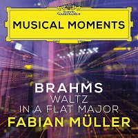 Fabian Muller – Brahms: 16 Waltzes, Op. 39: No. 15 in A Flat Major [Musical Moments]