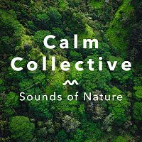 Calm Collective – Sounds Of Nature