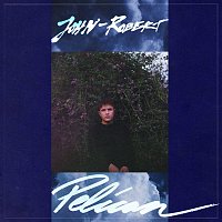 Přední strana obalu CD Pelican