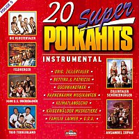 Přední strana obalu CD 20 Super Polkahits - Folge 5 - Instrumental