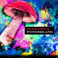 Přední strana obalu CD Wonderland