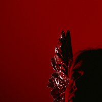 bnkr44 – LUNA ROSSA
