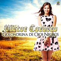Victor Cordero – Golondrina de Ojos Negros