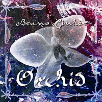 Přední strana obalu CD Orchid